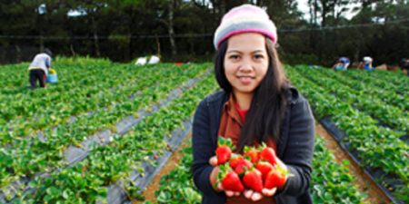 Alimentation et agriculture : Ce qui doit être fait pour renverser la tendance selon le nouveau rapport sur les Objectifs de développement durable