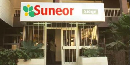 Après une collecte catastrophique, une menace plane sur l’avenir des huileries, selon des acteurs du secteur