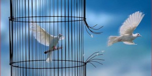 Enième évasion de Boy Djinné:  Coffré à Touba, il se taille de la prison centrale de Diourbel