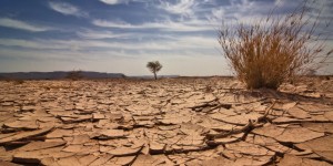 Nouvelle étude Nature Climate Change: Des vagues de chaleur marine record ont causé des ravages à l&rsquo;échelle mondiale au cours de ces deux dernières années.