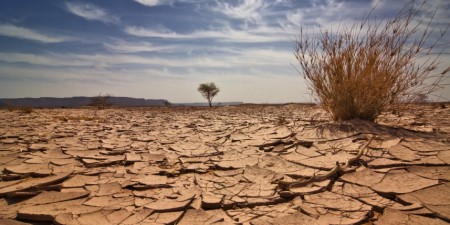 Environnement : neuf africains les plus influents dans la lutte contre le changement climatique, selon Apolitical