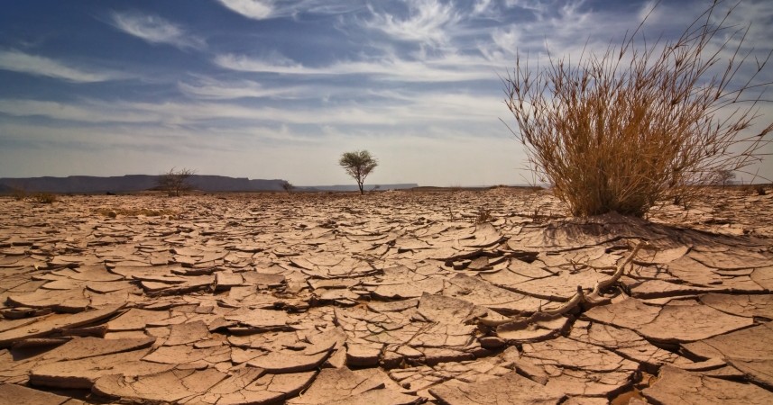 Lutte contre le changement climatique dans les pays en développement  L’UE débloquera environ 230 milliards FCFA