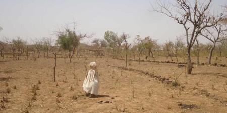 Journée mondiale contre la désertification : La CEDEAO réaffirme son engagement pour restaurer les terres