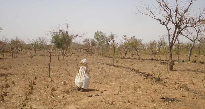 L’Afrique très exposée au changement climatique, des experts venus de plus de vingt pays à son chevet