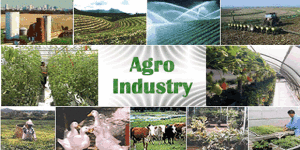 Experts et ministres se penchent sur la politique industrielle commune de la CEDEAO