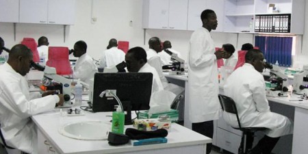 Défis du domaine agricole Le Pr Cheikh Békaye Gueye souligne les axes où le Sénégal doit forcément revoir sa copie.