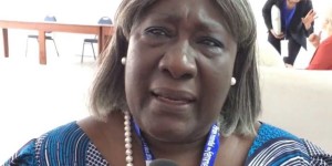 Développement et Genre : La SYNAFE lancée, un cadre pour prouver l’importance de la femme dans le processus