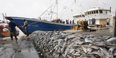 Accord de pêche UE-Sénégal : les précisions de l’Union européenne