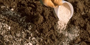 Indice des prix : Un fléchissement de celui des engrais noté,  celui du pétrole raffiné en hausse, Matières premières animales et végétales en baisse…