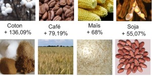 Marché des matières premières : Poursuite de la baisse des cours