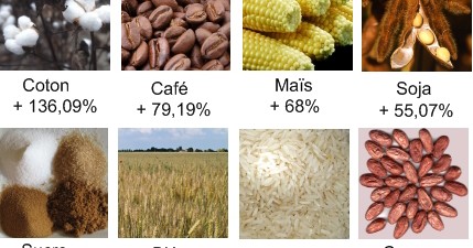 Marché des matières premières : Poursuite de la baisse des cours