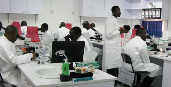 « L’Afrique très en retard dans le domaine de la Recherche », Demba Moussa Dembélé, président de l’ARCADE