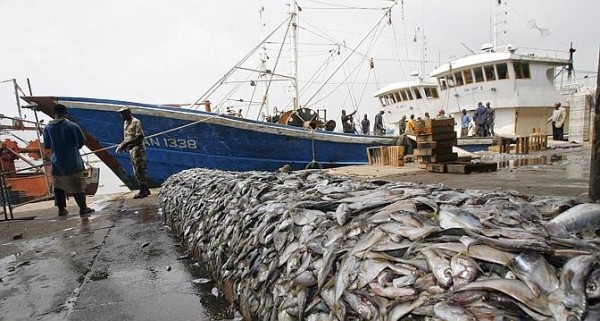 Pêche : Une fraude plus de 370 millions FCFA découverte sur les licences entre 2000 et 2014, les Chinois vous saluent bien !