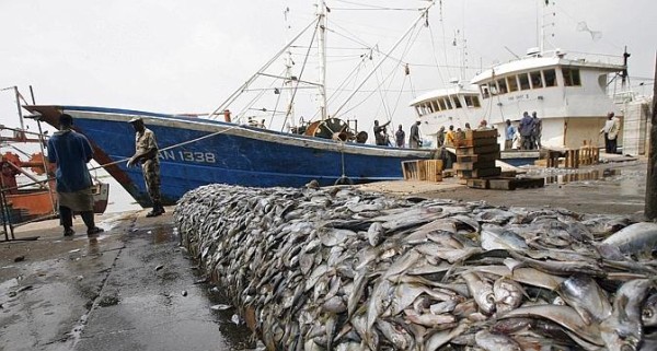 Fin de l’Accord de pêche Sénégal-Union européenne : vers une communication stratégique du ministre des Pêches