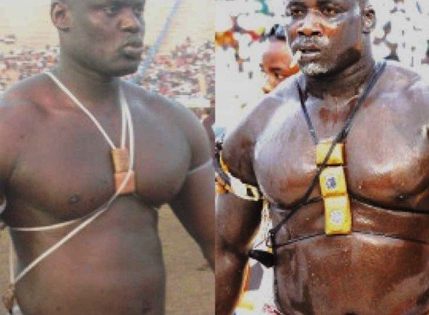 Lutte : Gris Bordeaux-Sport prend le meilleur sur Tyson-Business et renaît de ses cendres