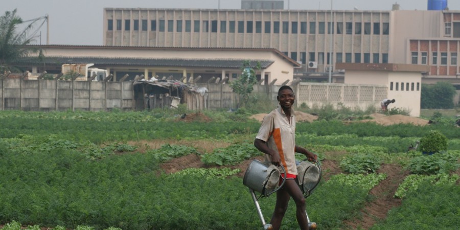 La Journée mondiale des sols :  l’importance de la biodiversité des sols pour la production alimentaire et la nutrition mise en lumière