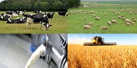 Commerce : le lait local sous la menace de la pandémie de COVID-19 et le dumping des produits laitiers européens.