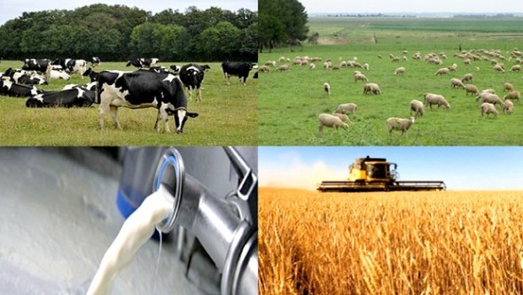 Conservation et transformation du lait : des acteurs misent sur  l’accès à l’énergie durable pour booster la production