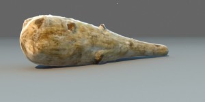 Pour une histoire de terre, un vieux de 78 ans en tue un autre de 75 ans à coups de gourdin