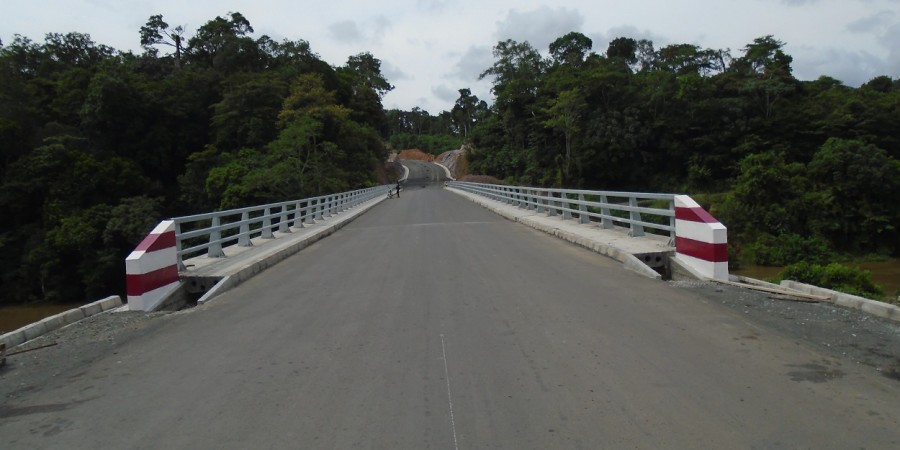 CEDEAO/Infrastructures : Des experts en mission de supervision sur le corridor routier Enugu-Bamenda