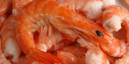Pêche : entre 2500 à 3000 tonnes de crevettes débarquées annuellement