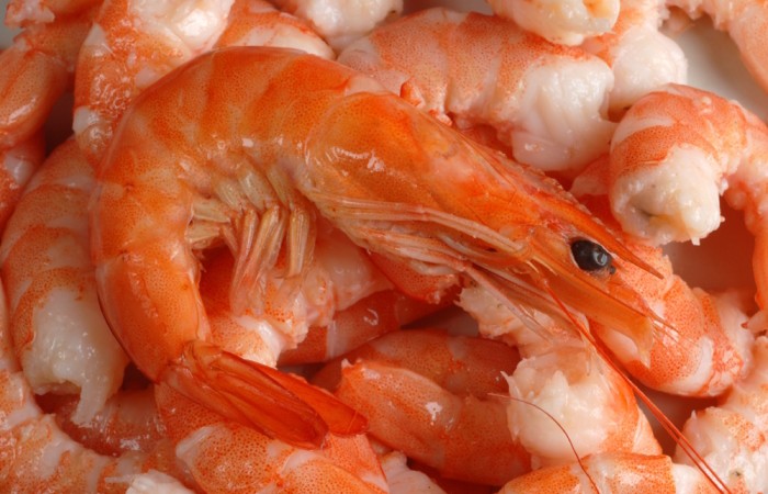 Pêche : entre 2500 à 3000 tonnes de crevettes débarquées annuellement