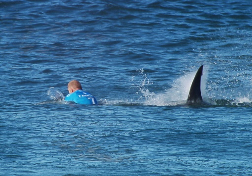 Insolite : Le triple champion du monde de surf échappe de peu à un requin !