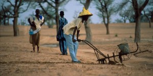 La famine signalée dans la région sud du pays, l’aide de l’Etat réclamée