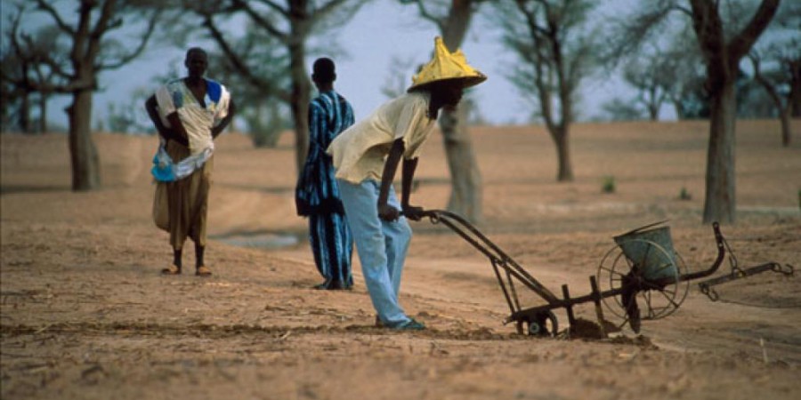 La famine signalée dans la région sud du pays, l’aide de l’Etat réclamée