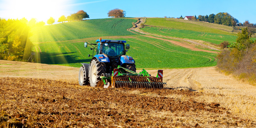 Un nouveau rapport FAO/BERD montre des voies pour décarboniser les systèmes agroalimentaires : Utopie ou nouvelle vague verte ?