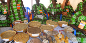 Transformations des céréales : l’ITA à la  rescousse des femmes