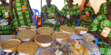 Céréales:  L’offre mondiale évaluée à 3023,9 millions de tonnes