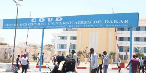 L’Université Cheikh Anta Diop honore le Sénégal en s’illustrant brillamment au CAMES