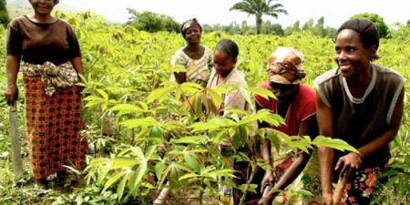 populations rurales: le Togo et le FIDA s’associent pour améliorer les services financiers et créer des emplois