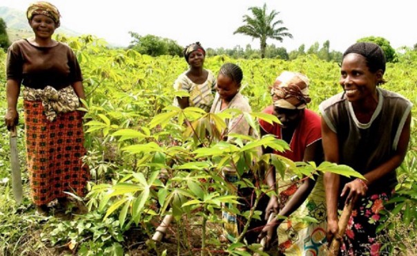 populations rurales: le Togo et le FIDA s’associent pour améliorer les services financiers et créer des emplois