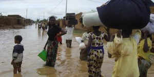 Podor : les eaux ravagent 17 hectares de cultures à Doué, les agriculteurs en détresse après des crues dévastatrices