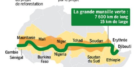 Environnement  Pourquoi la COP 21 doit s’intéresser à la grande muraille verte