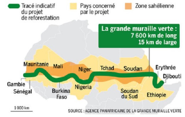 Environnement  Pourquoi la COP 21 doit s’intéresser à la grande muraille verte