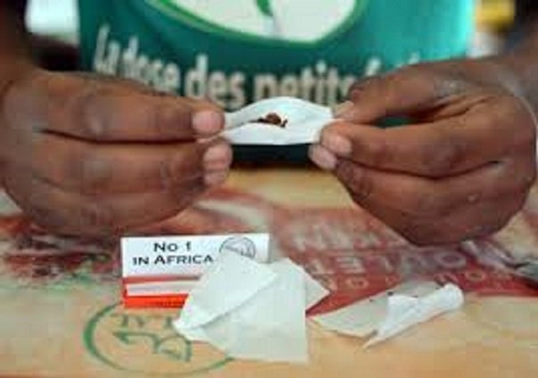 Drogue Cinq individus tombent avec du chanvre indien près de Mbour