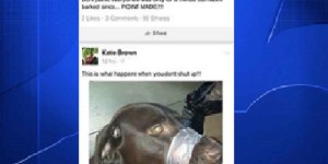 Floride Dérapage sur Facebook,  une femme arrêtée pour affichage de son chien la bouche scotchée