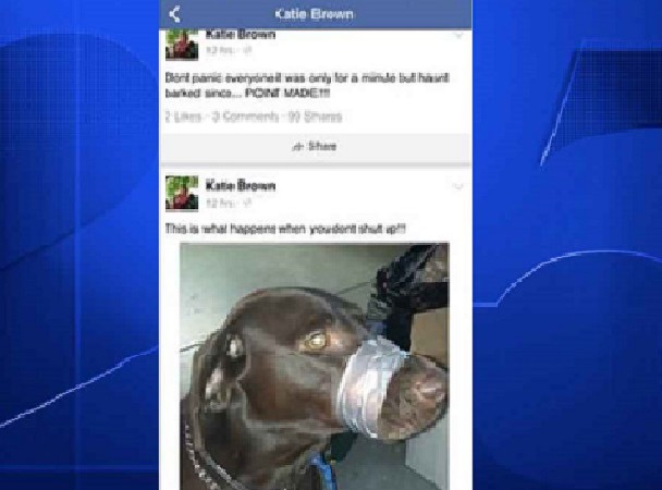 Floride Dérapage sur Facebook,  une femme arrêtée pour affichage de son chien la bouche scotchée