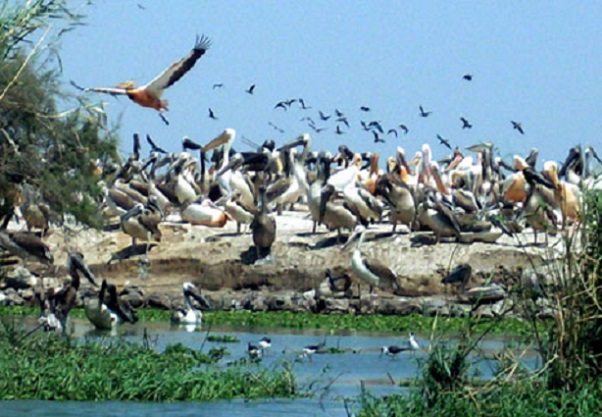 Quatre  merveilles de l’écotourisme sénégalais