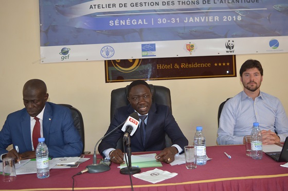 Pour l’amélioration de  la compréhension des stratégies de gestion durable des thons : Plus de 40 experts en conclave  à Dakar