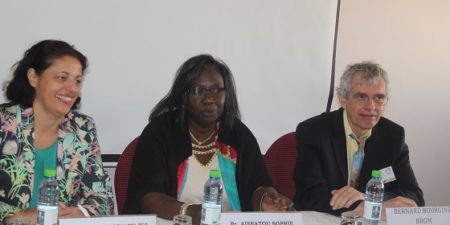 Services géologiques : Renforcement des compétences techniques et scientifiques de 15 professionnels africains