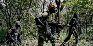 Casamance : Cinq militaires blessés et plusieurs rebelles tués dans des accrochages au Nord-Sindian