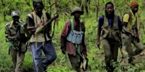 Casamance : le MFDC libère un officier et appelle à la reprise des négociations