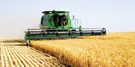 Campagne 2017-2018 de Blé tendre français : L’USDA table sur une offre mondiale de blé de 1010,5 millions de tonnes