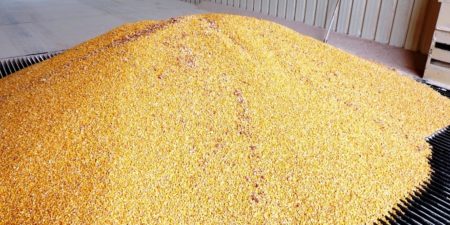 Offre mondiale de céréales  en décembre 2017: Le département américain de l’agriculture table sur  3218,3 millions de tonnes de  céréales