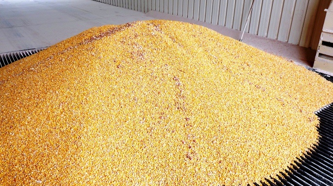Offre mondiale de céréales  en décembre 2017: Le département américain de l’agriculture table sur  3218,3 millions de tonnes de  céréales