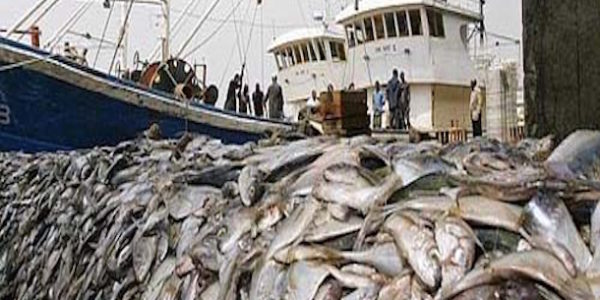 L’UE cible les stocks de poissons vulnérables de l’Afrique de l’Ouest, malgré les lois de protection